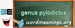 WordMeaning blackboard for genus pylodictus